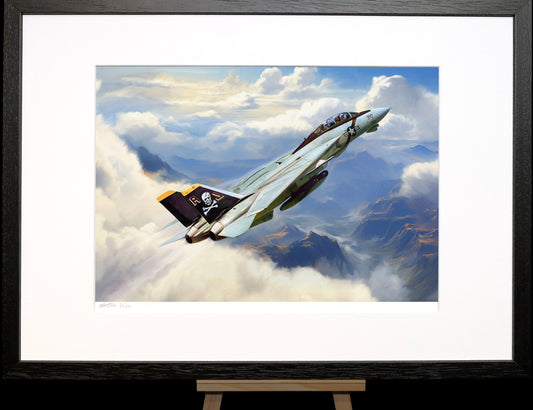 A painting of an F14 fighter jet.